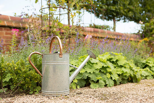 Bright Ideas for your Home this Spring
