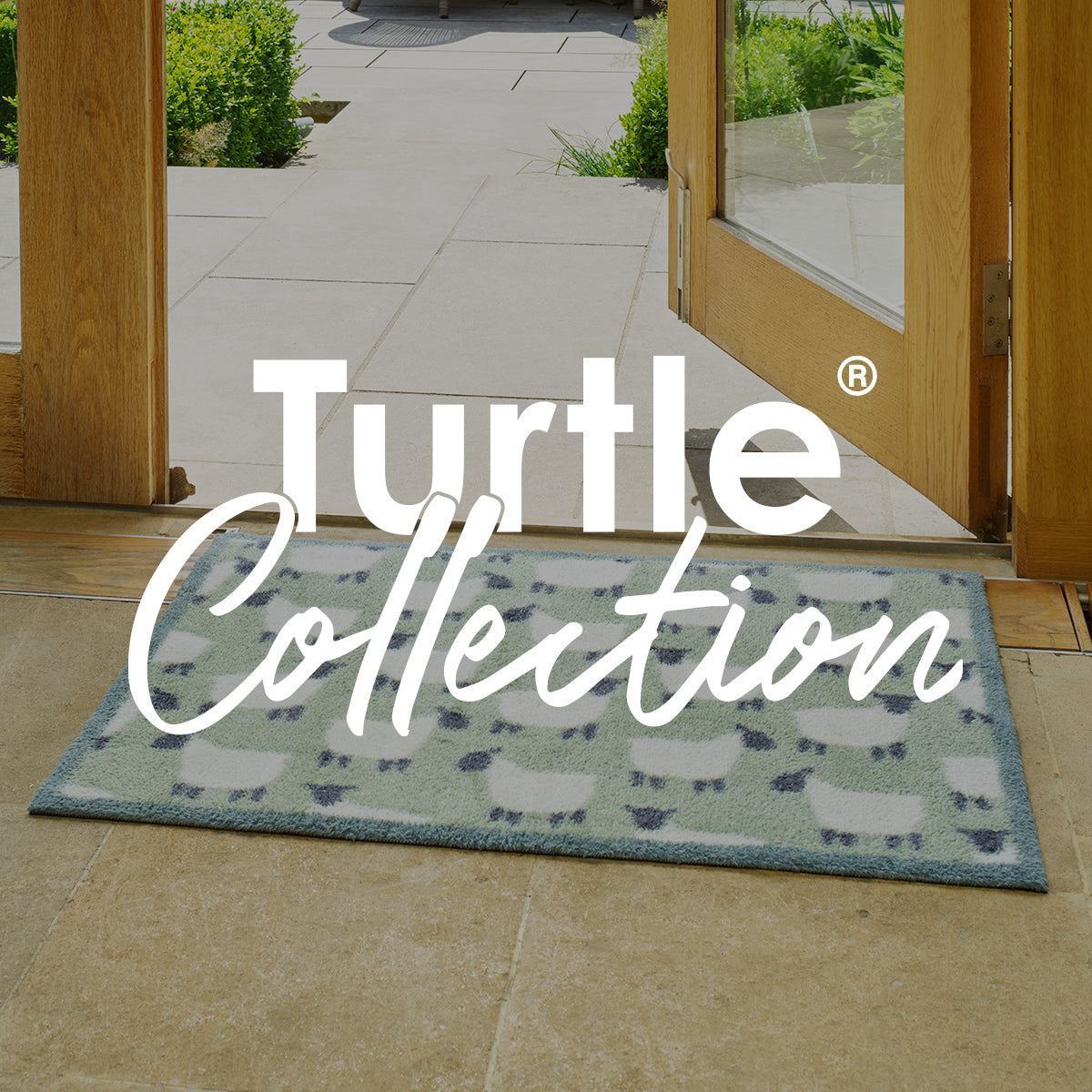 Turtle Collection