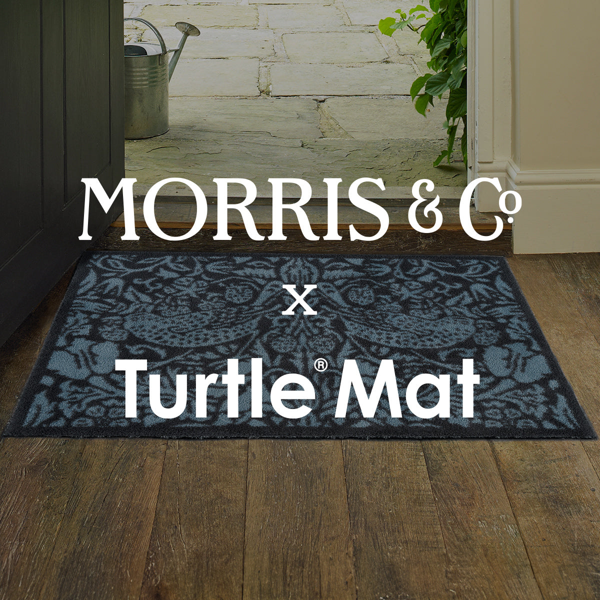 Morris & Co.