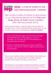 Discover Dogs Competition 2013