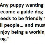 Quote 4