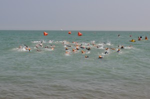 Last Year's Big Sea Swim