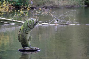 Coppice Pond, Bingley