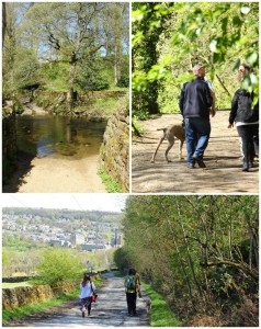 Walking in Bingley