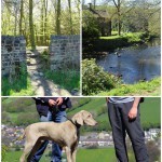 Walking in St Ives and Druid’s Altar in Bingley