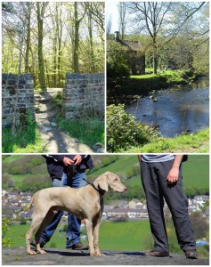 Walking in St Ives and Druid's Altar in Bingley