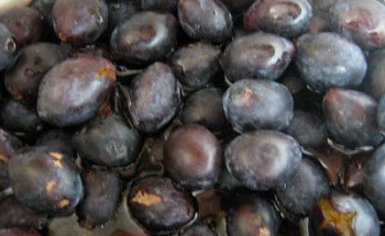 Damsons Jam Making