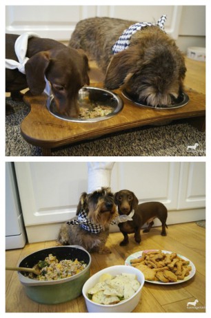 Homemade Dog Food from Sausage Tails