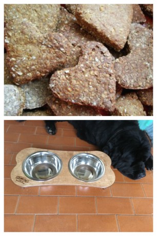 Honey Hearts Homemade Dog Biscuits