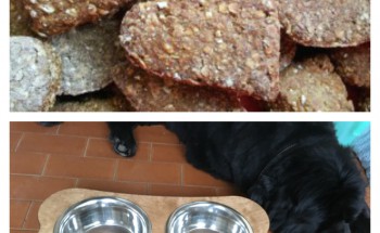 Honey Hearts Homemade Dog Biscuits