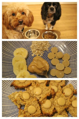 Peanut Butter and Banana Flapjack for Dogs