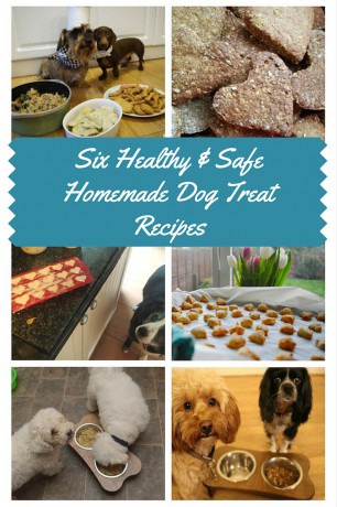 Six Healthy & Safe Homemade Dog Treat Recipes
