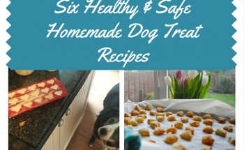 Six Healthy & Safe Homemade Dog Treat Recipes