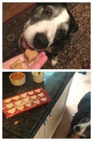 Yoghurt and Peanut Butter Frozen Hearts for Dogs