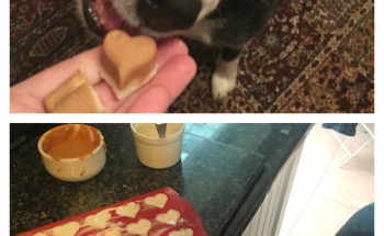 Yoghurt and Peanut Butter Frozen Hearts for Dogs
