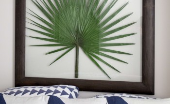 Framed palm leaf