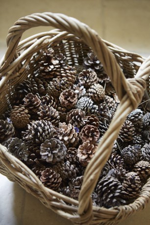 basket of pinecones