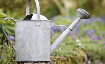 watering can