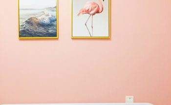 Flamingo pink wall – Dan 7th on Unsplash