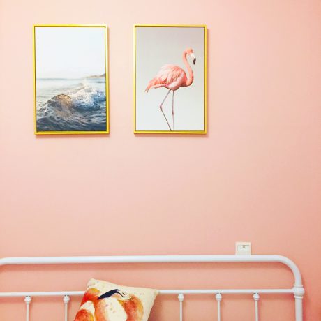 Flamingo pink wall - Dan 7th on Unsplash