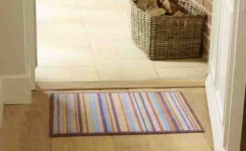 Serena Stripe Turtle Mat doormat