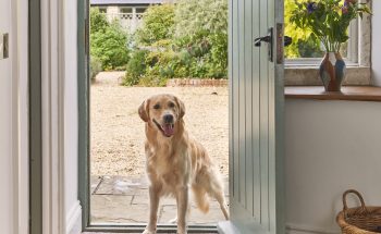FrontDoor_WithDog2_3