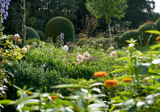 Four Ways to Bring Flower Show Style Into Your Home