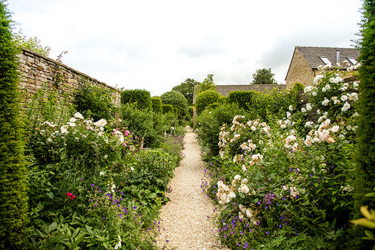 Top 7 Gardening Tips for Spring