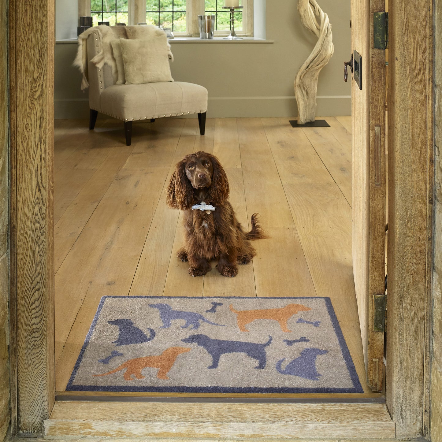 Dog and Bone