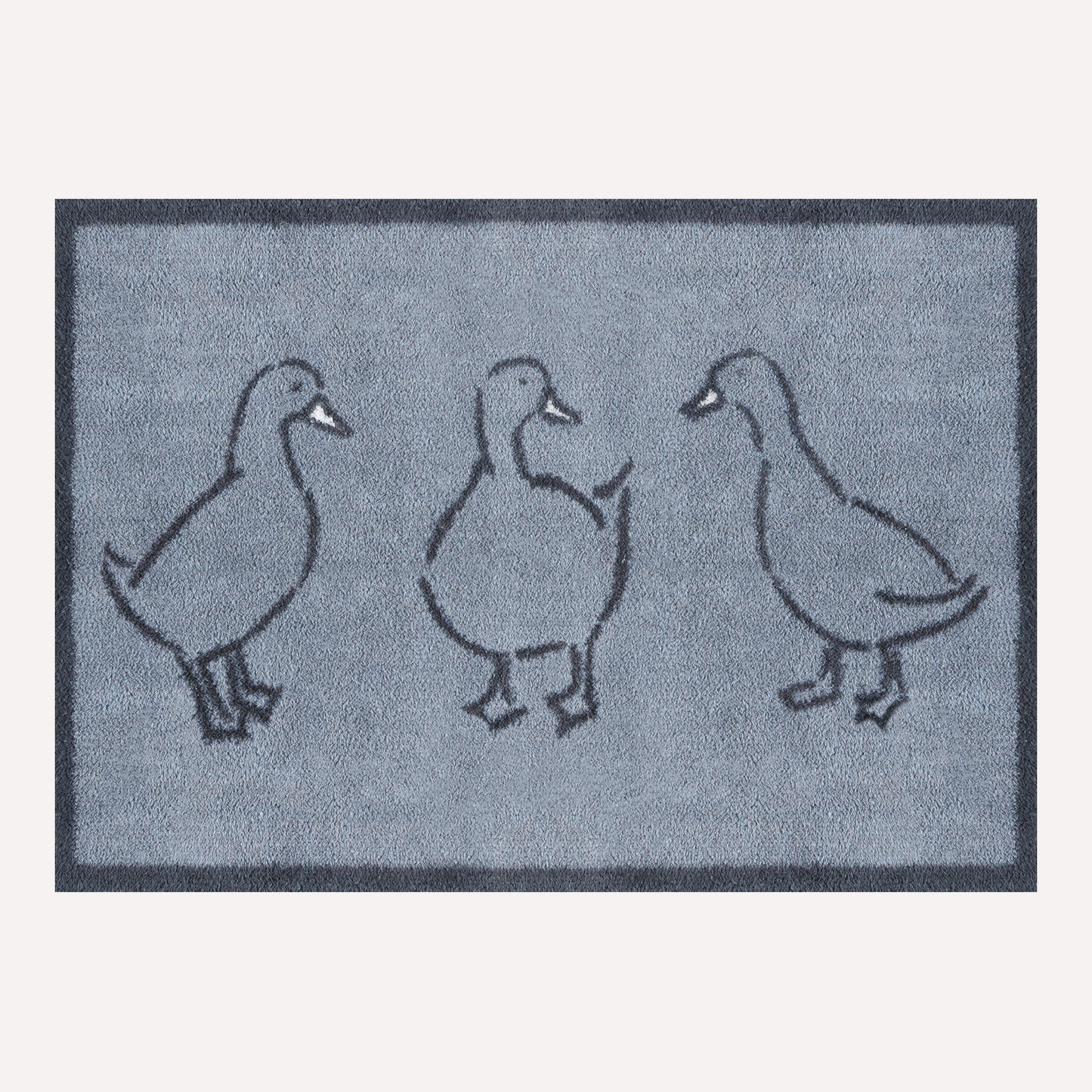 Ducks