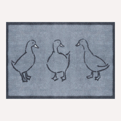 Ducks