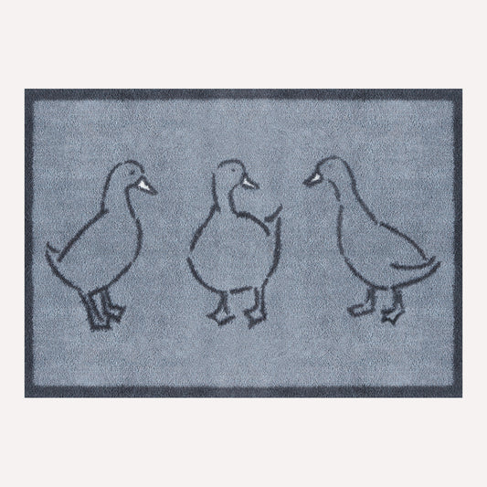 Ducks