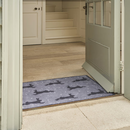Hares Grey