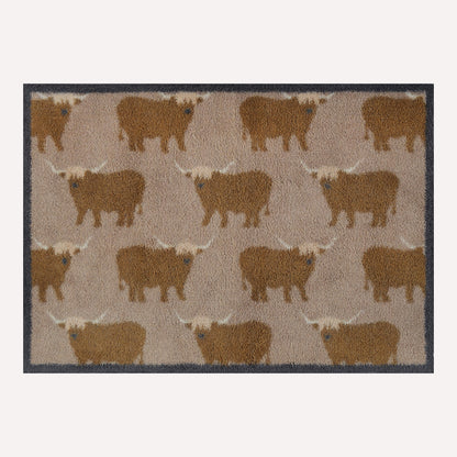 Highland Cows