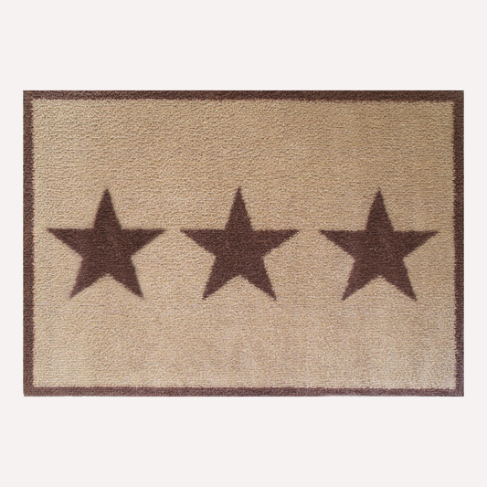 Neutral Stars (Latex)