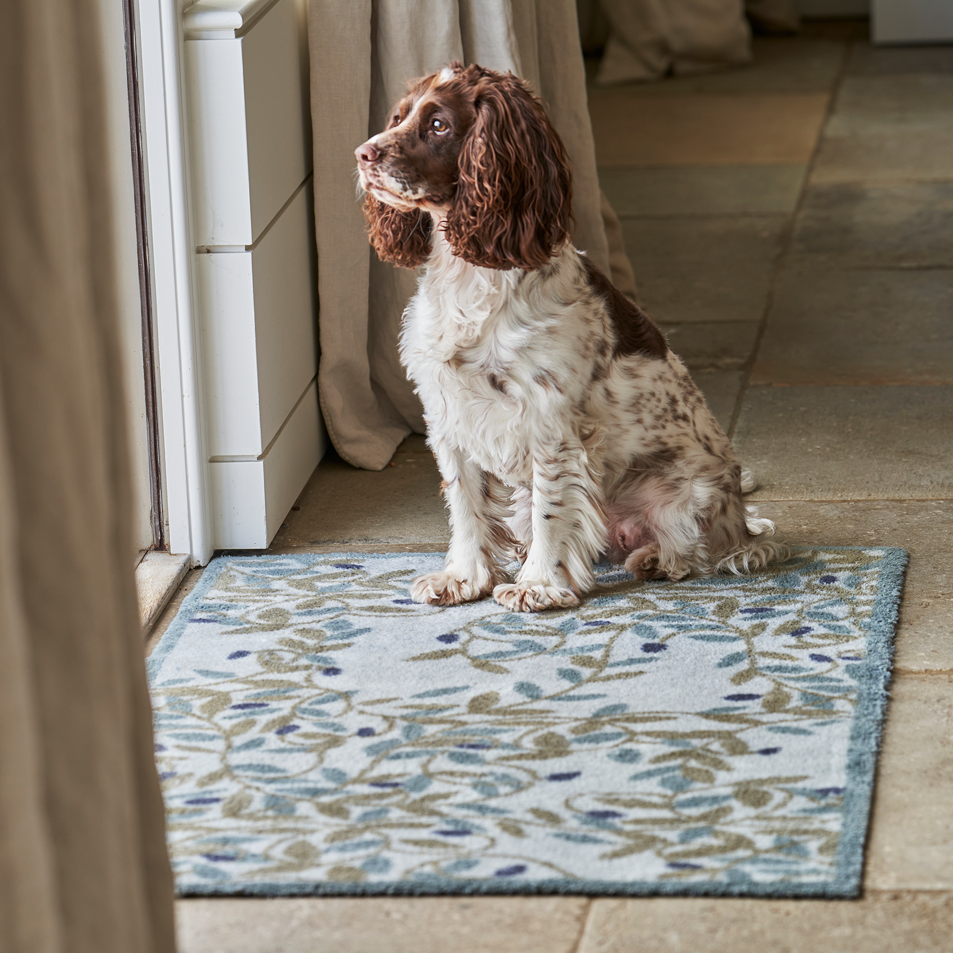 Olive - Dee Hardwicke - Turtle Mat