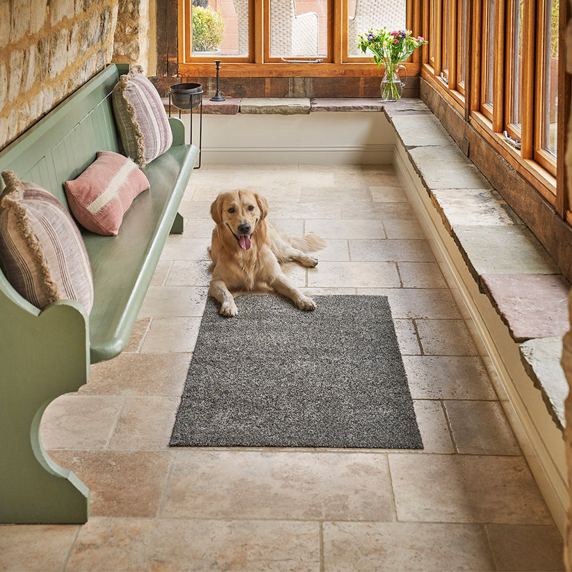 Seal – Turtle Mat