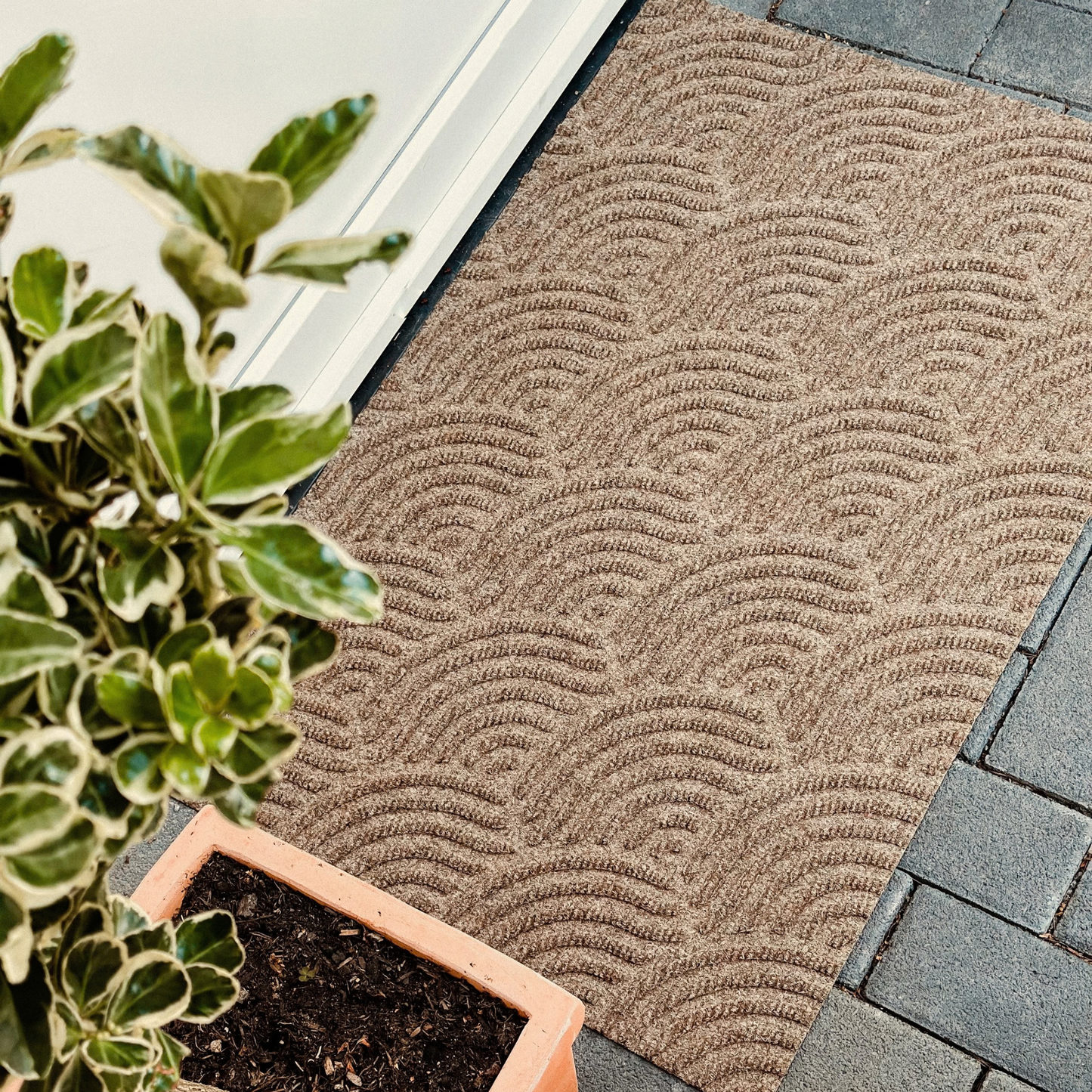 Waves Taupe