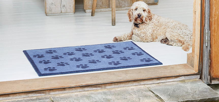 Soak Stopper Absorbent Indoor Chenille Doormat, Muddy Dog Washable