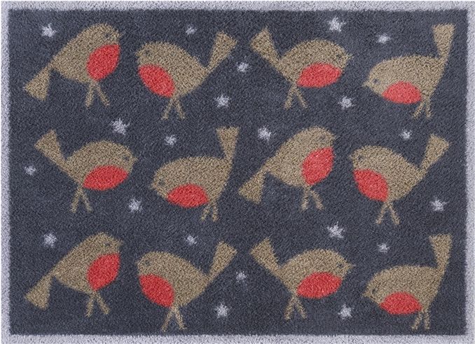 Winter Robins