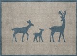 Deer Family