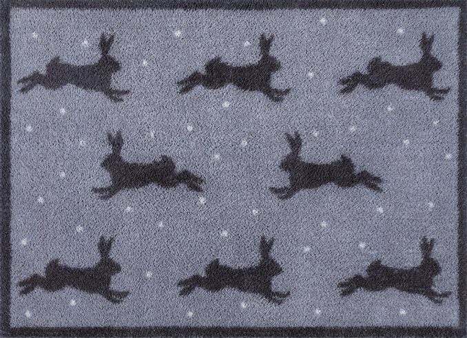 Hares Grey